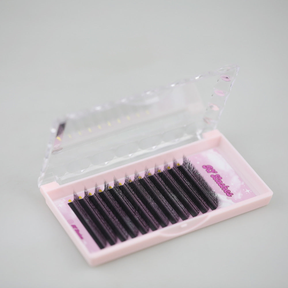 5D W Lashes (M-Curl)
