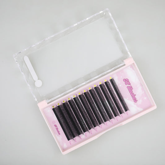8D W Lash Extensions