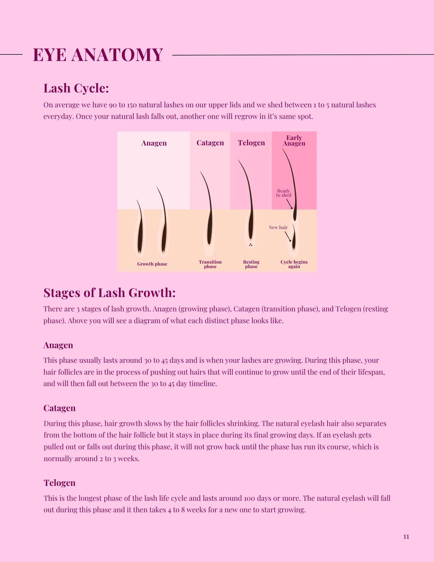 Lash lift Manual