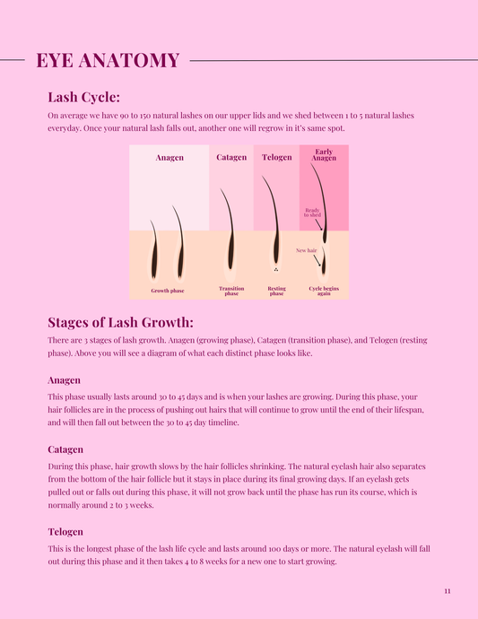 Lash lift Manual