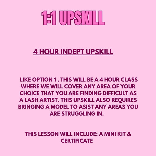 4 Hour Upskill Course