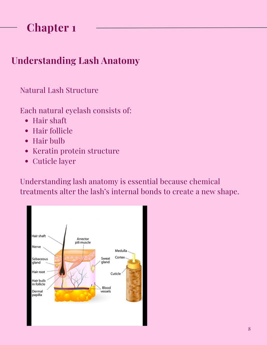 Fast track (Classic, Hybrid & Volume) lash extensions manual